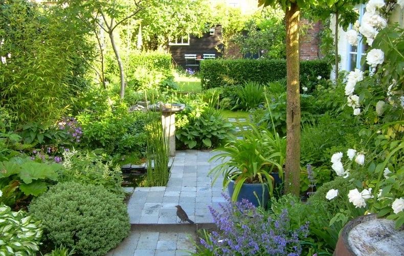 Prachtige tuinvoorbeeld met weelderige beplanting, natuurlijke verharding en harmonieuze compositie die de expertise van Hof van Eden toont